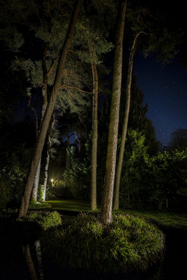 projecten tuinlichtplan tuinverlichtingsplan buitenverlichting tuinarchitectuur rainforestlighting tuinverlichting regenwoud