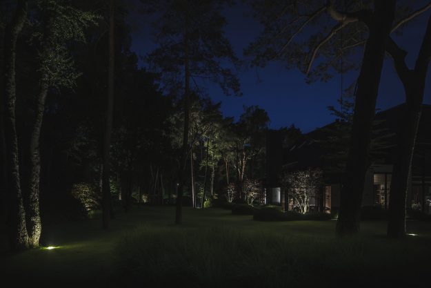 projecten buitenverlichting tuinarchitectuur rainforestlighting tuinverlichting regenwoud