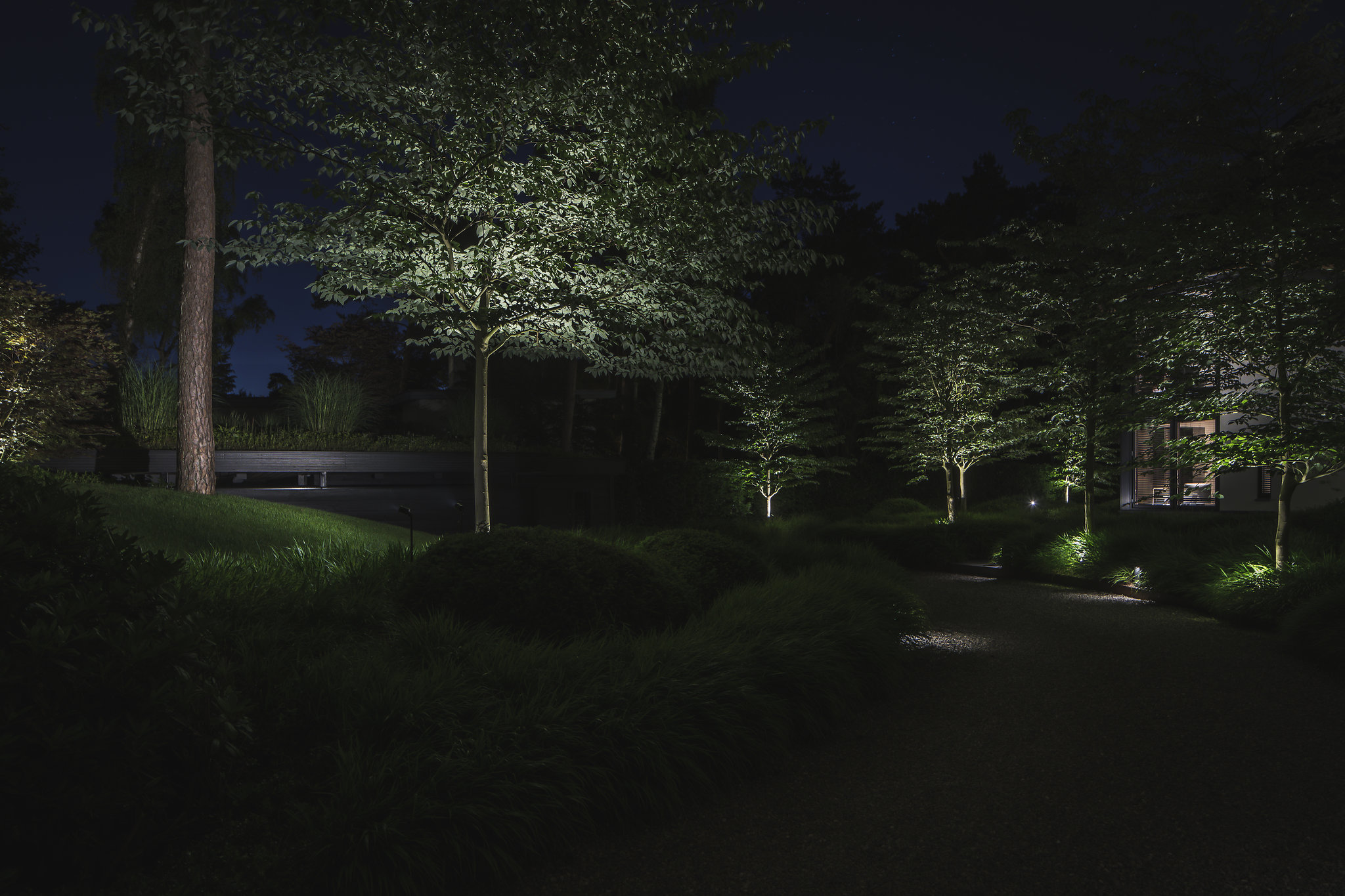 Designing the Night volgens Lars Mallant van Rainforest Lighting Designing the Night, volgens Rainforest Lighting