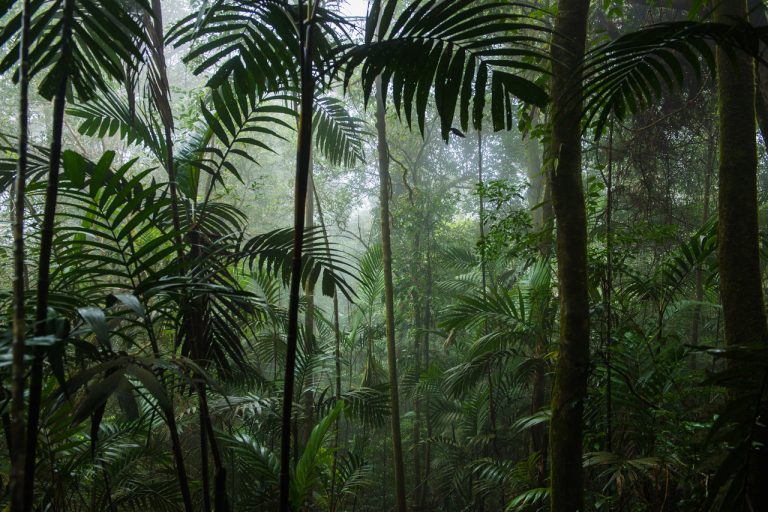 Duurzaam is de buitenverlichting van Rainforest Lighting