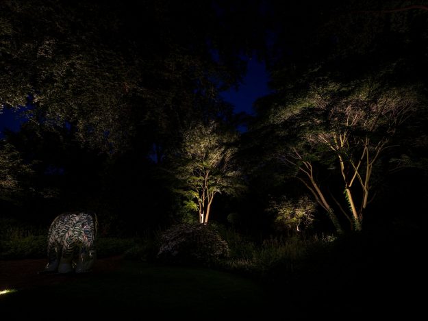 projecten buitenverlichting tuinlichtplan tuinverlichtingsplan buitenverlichting tuinarchitectuur rainforestlighting tuinverlichting regenwoud