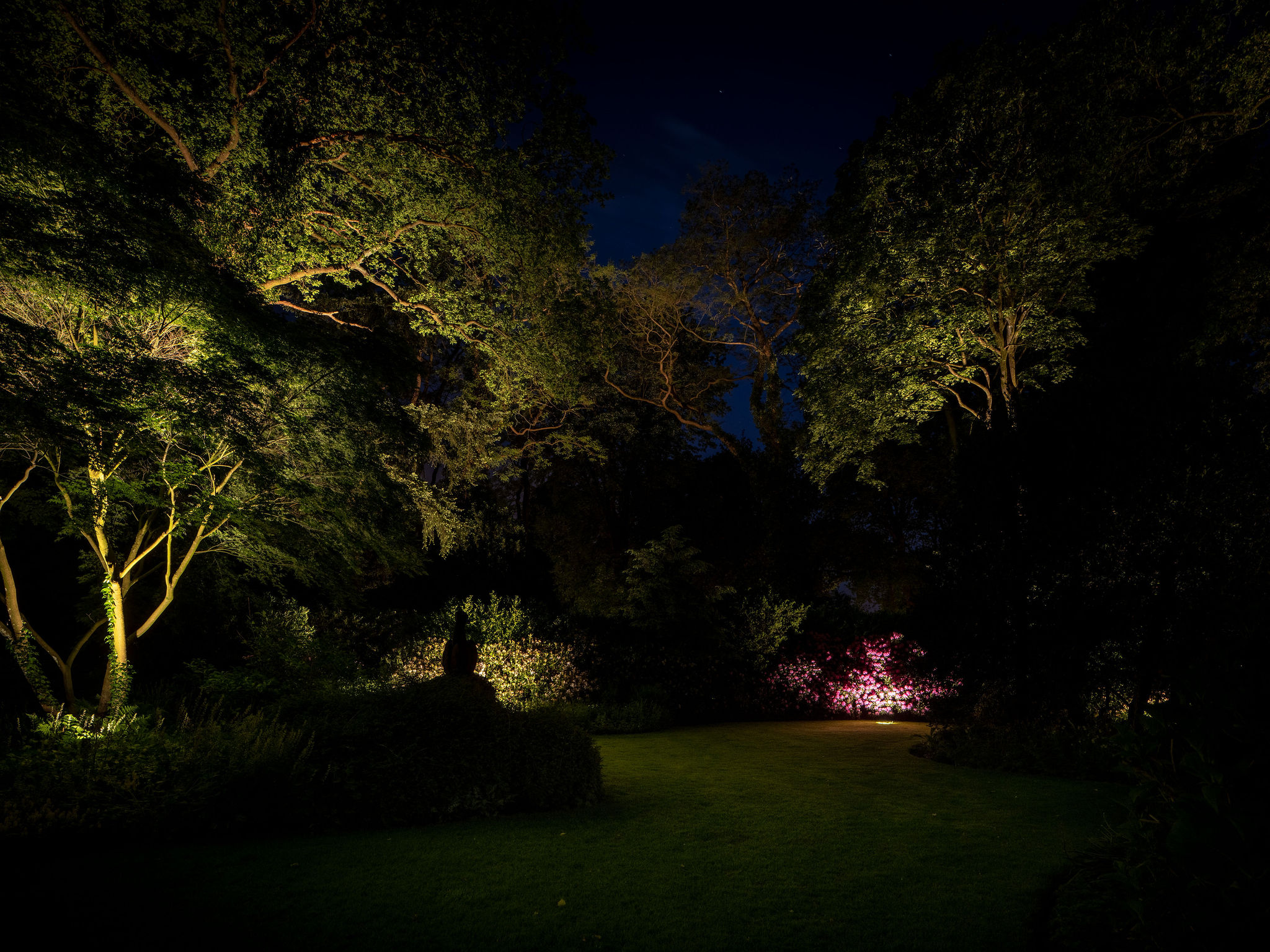 De vierjaargetijden komen tot leven met de verlichting van Lars Mallant, deze schitterende foto van een fraai verlichte tuin in de herfst is een lust voor het oog. De trap is uitgelicht en de bomen vormen een sprookjesachtig decor