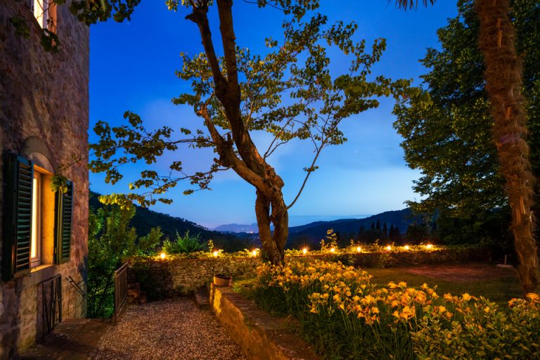 Rainforest Lighting verzorgt ook de verlichting van tuinen in het buitenland. Op deze foto is bijvoorbeeld een verlicht zwembad te zien.