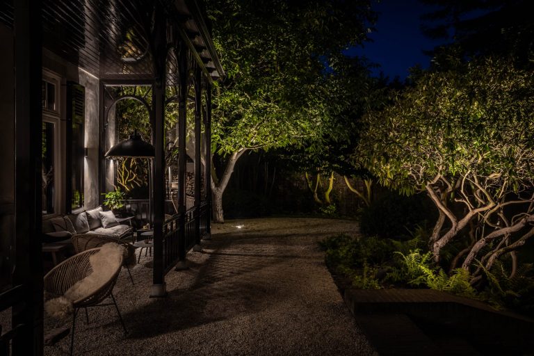 Zo groot en zo klein. De blog van Lars Mallant van Rainforest Lighting.