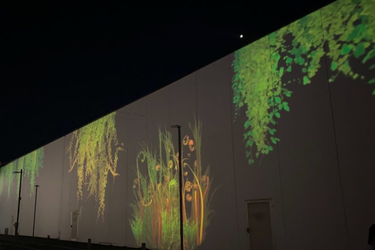 Trends in buitenverlichting door lichtkunstenaar Lars Mallant van Rainforest Lighting. We zien hier een waanzinnige profielprojectie op een gebouw. Dit kan ook met logo's, merken, etc..